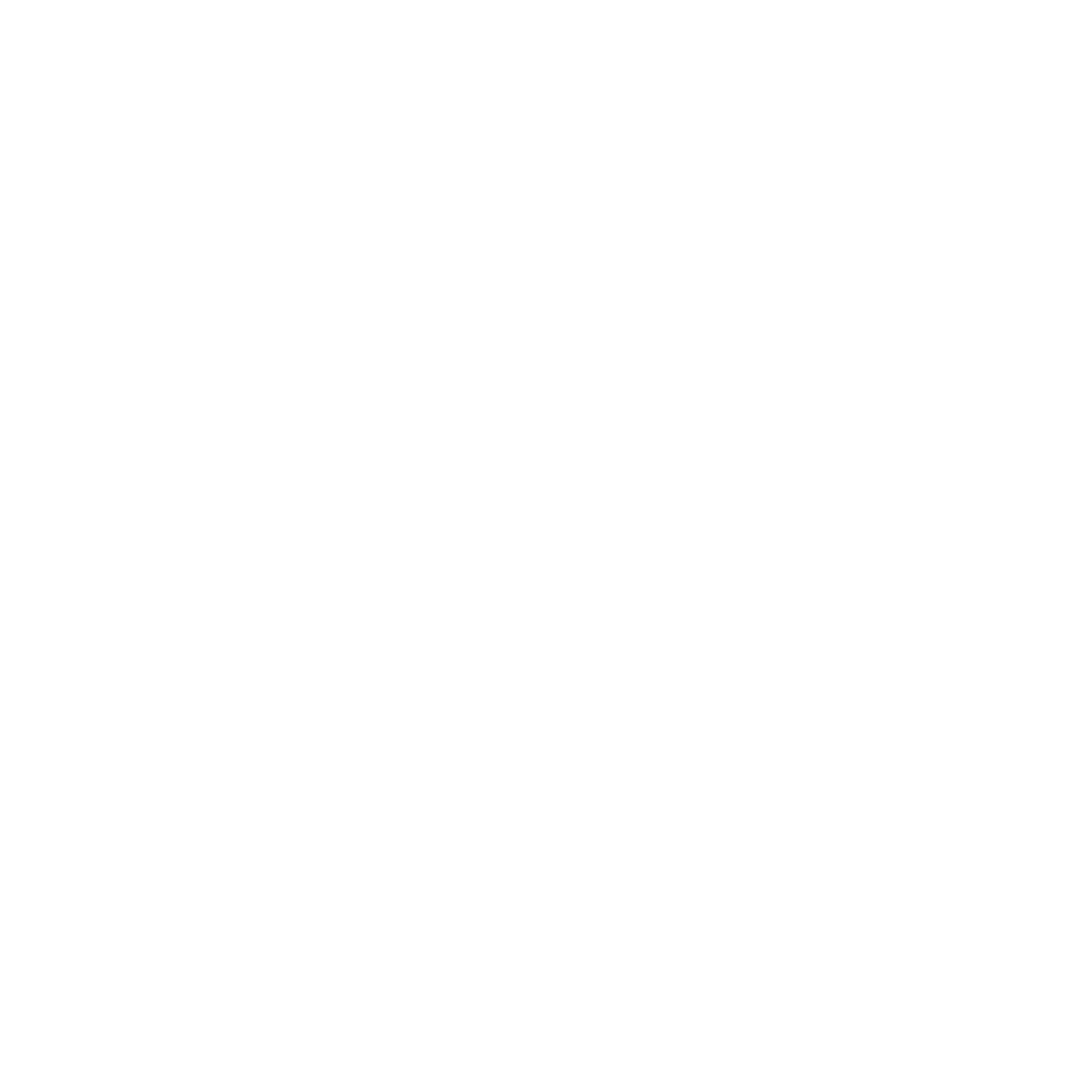 AndesDataScience Logo